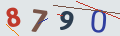 verifycode